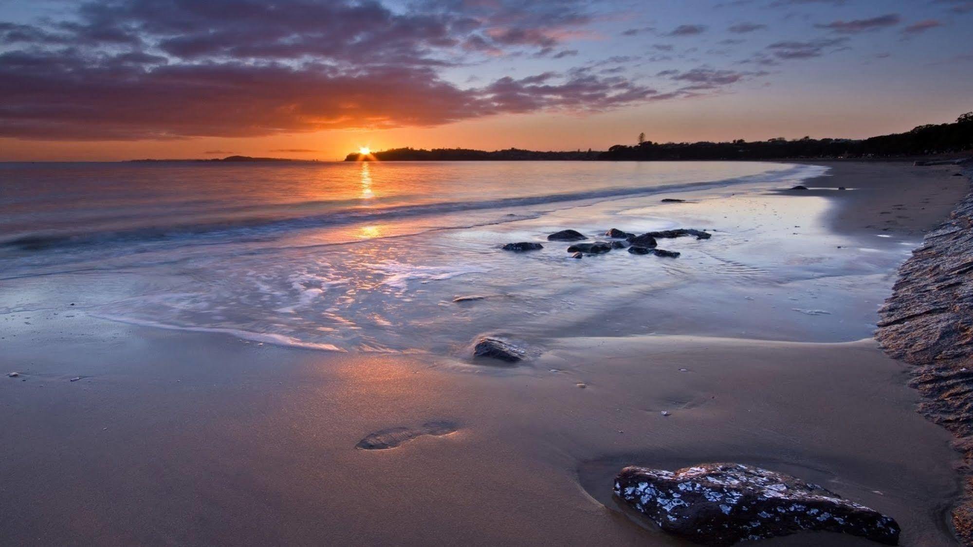 Kohimarama Beach Bed & Breakfast - Style And Privacy In Superb Location Auckland Exteriör bild